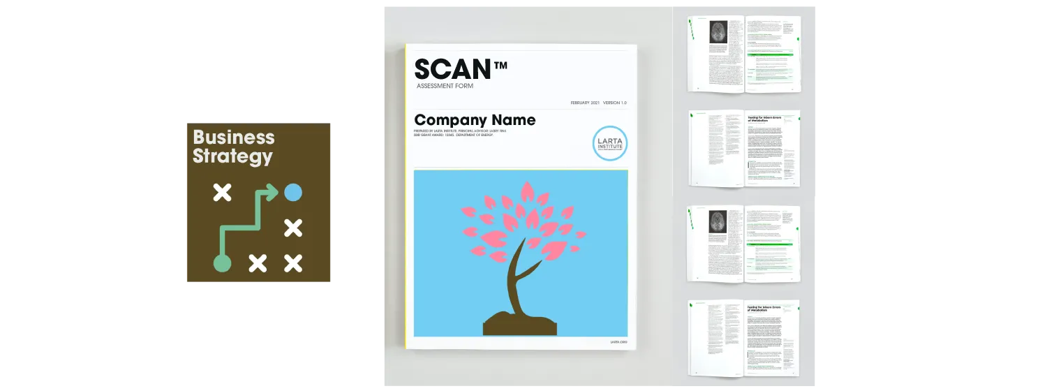 Larta-Products-SCAN-Assesment-Preview-02.png